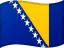 Bosnia and Herzegovina flag