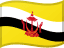 Brunei flag