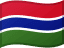Gambia flag