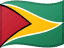 Guyana flag