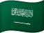 Saudi Arabia flag