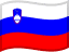 Slovenia flag