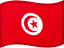 Tunisia flag